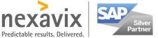 Nexavix Corporate Logo